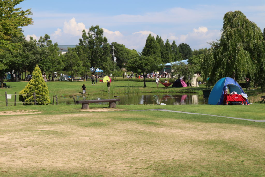 兵庫県小野市のひまわりの丘公園
